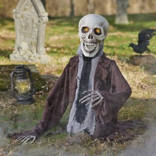 Animated Groundbreaker Skeleton, Barry | Grandin Road | Grandin Road