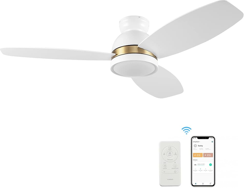 52" Flush mount Ceiling Fan with Light, Indoor & Outdoor Ceiling Fan with 10-Speed Quiet DC Motor... | Amazon (US)