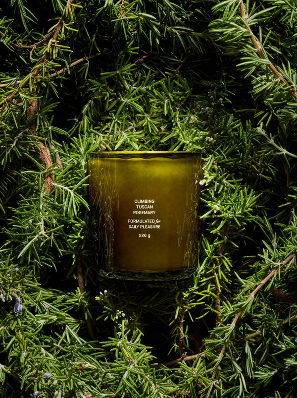 Climbing Tuscan Rosemary Candle | Flamingo Estate