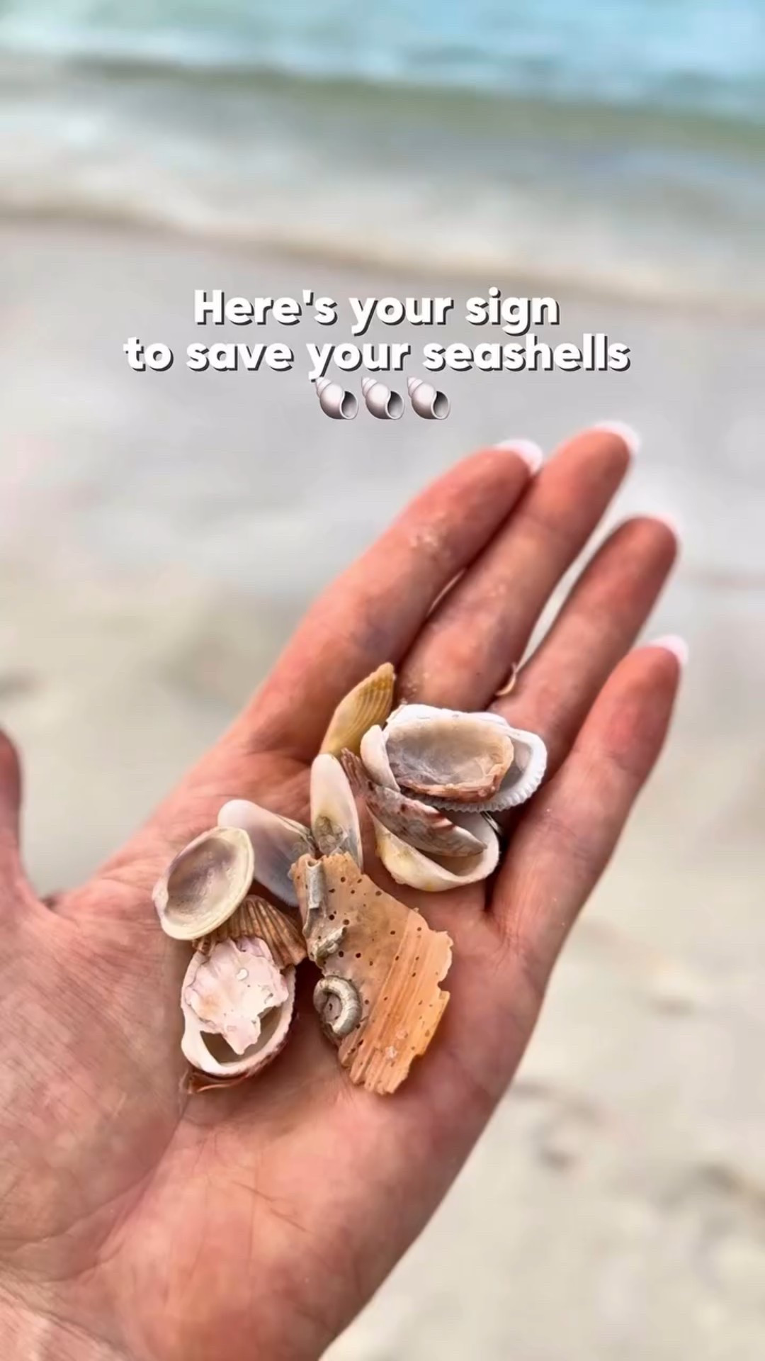 Give your beach memories a place to live with this simple seashell frame project-like bottling up summer and setting it on the shelf. Love this idea? Comment SHELL below for a list of my favorite shell craft supplies!

Optional extras: Larger statement shells (I found some at home goods) pearls, or beach-themed charms

No beach trip? No problem! You can find beautiful shells at home decor shops and craft stores if you aren’t collecting them yourself.

Prep Your Frames Use any wooden frames you have-upcycled ones add a special touch. Wipe them clean before decorating.
Apply the Dry Dex Spread a generous layer of Dry Dex onto the front of the frame. Don’t worry about being too precise; you want a thick enough surface for the shells to set in securely.
Add the Seashells Press each shell firmly into the still-wet Dry Dex. Try different patterns and mix sizes for a playful look. Get kids involved for extra fun!
Let It Dry Leave the frame untouched until the Dry Dex turns white, indicating it’s fully dry and beautifully set.

#LTKSeasonal #LTKHome #LTKSaleAlert