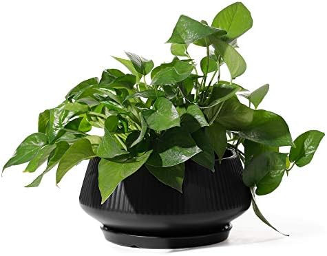 Large Plant Pots - POTEY 8.8 Inch Outdoor Indoor Ceramic Plant Pots with Drainage Holes and Plugs... | Amazon (US)