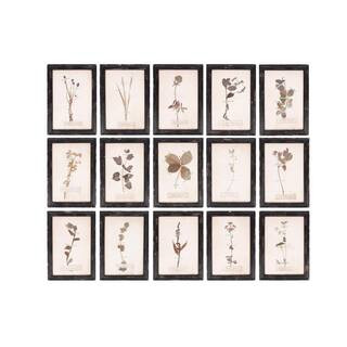 Storied Home 16 Piece Framed Graphic Print Dried Flower Nature Art Print Plaques 15.75 in. x 11 i... | The Home Depot