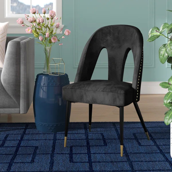 Aoife Velvet Side Chair (Set of 2) | Wayfair North America