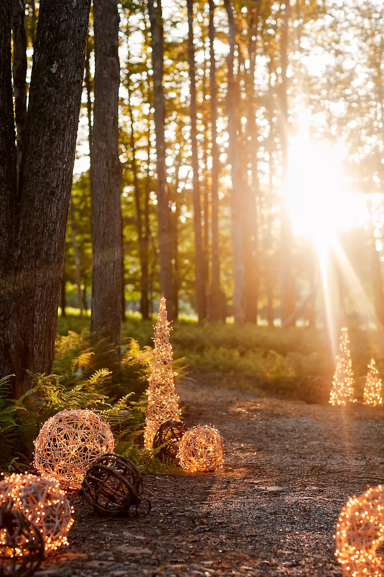 Stargazer Nature Effects Illuminated Vine Sphere | Terrain