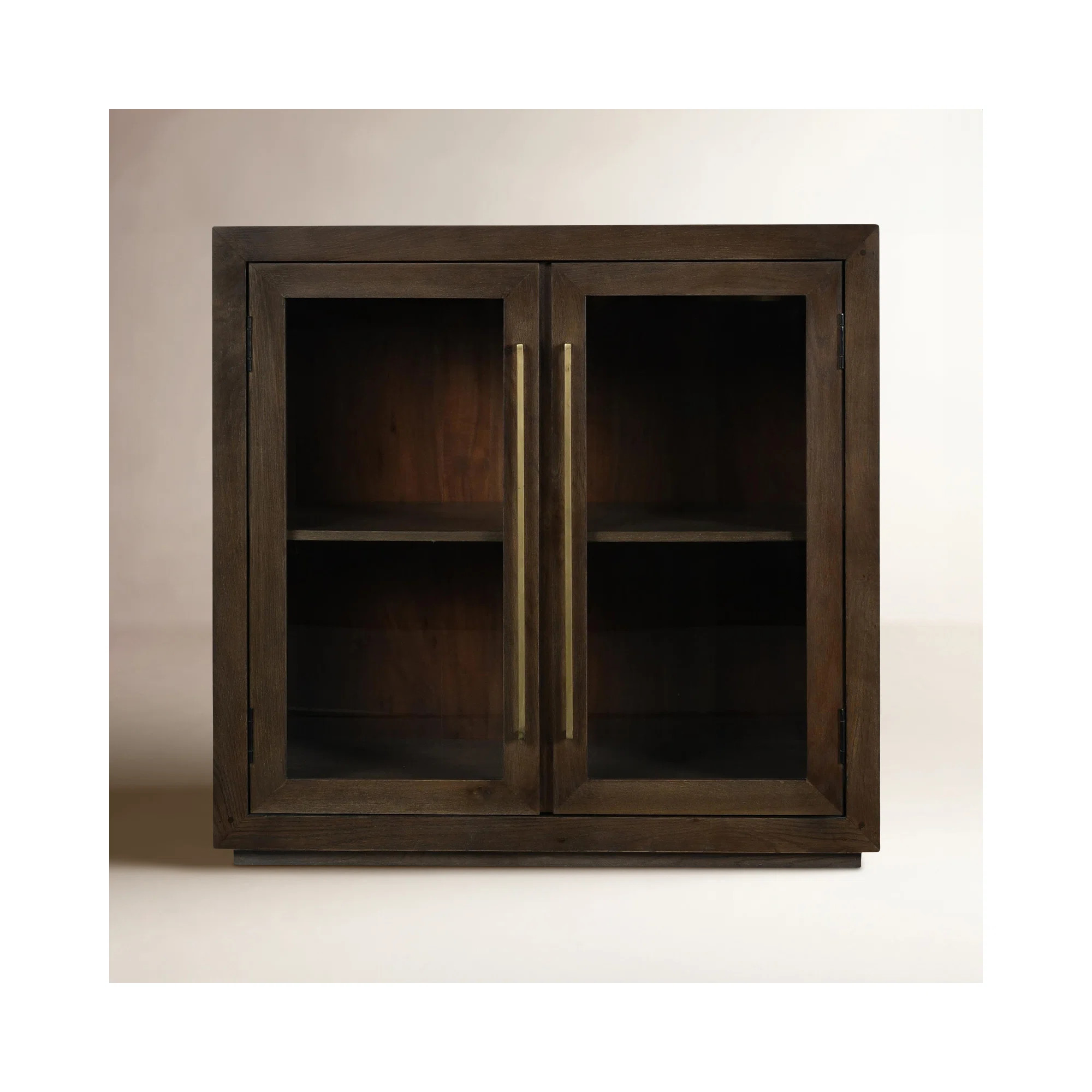Alaya 2 - Door Accent Cabinet | Birch Lane
