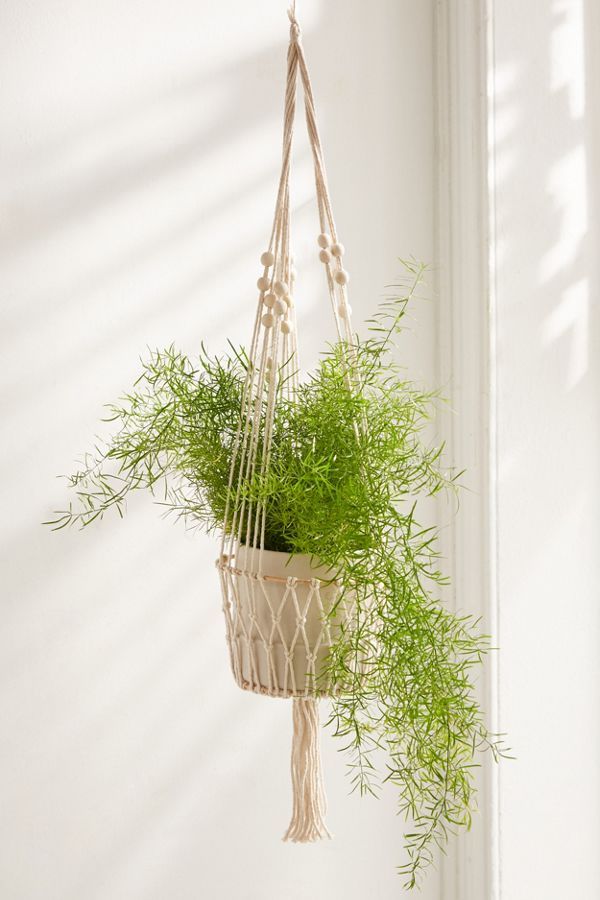 Ira Hanging Planter | Urban Outfitters (US and RoW)