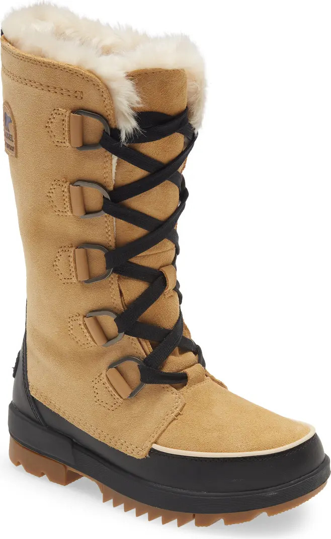 Tivoli IV Waterproof Tall Winter Boot (Women) | Nordstrom