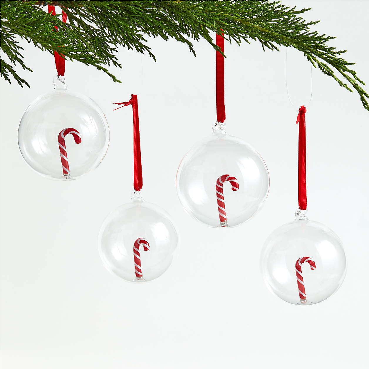 Glass Candy Cane Christmas Tree Ornaments, Set of 4 + Reviews | Crate & Barrel | Crate & Barrel