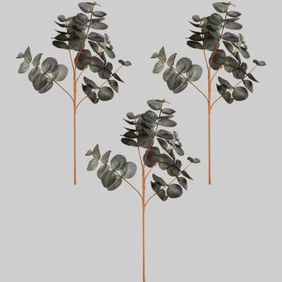 3pk Faux Picks Eucalyptus - Bullseye's Playground™ | Target