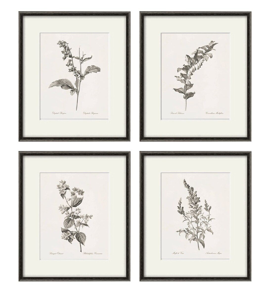Antique Botanical Prints SET of 4 Botanical Art Prints Flower - Etsy Canada | Etsy (CAD)