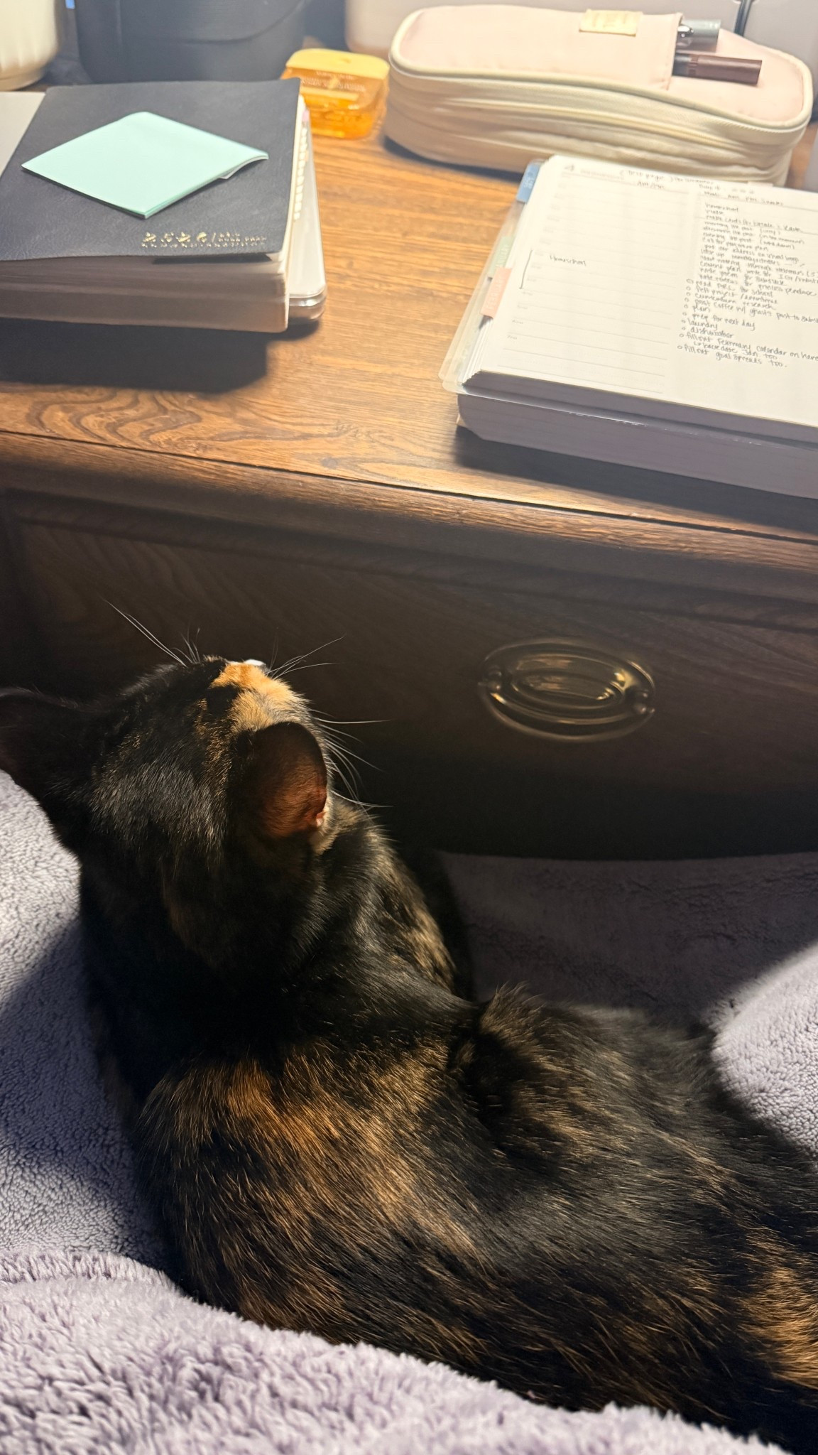 Morning strategy session with my right hand girl, Midnight. ☕️ I’m revisiting an old planner layout this week to see if it’s the missing piece for my routine.

This year has definitely kept me on my toes. Who else is in the middle of a “routine refresh”?

#LTKmorningroutine #LTKdayinmylife #LTKmomlife