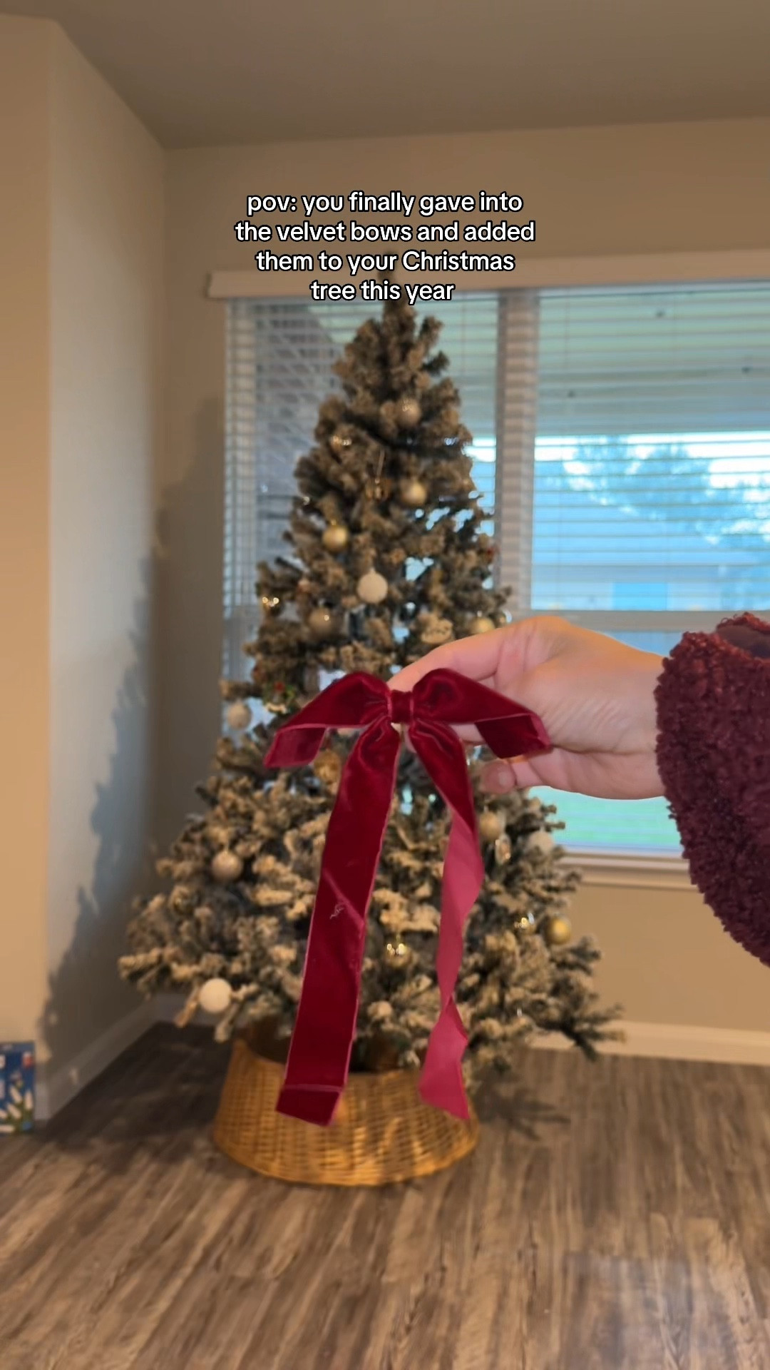 Decorating the Christmas tree with these cute velvet bows 🎀 they come with ties already on them so very easy to put on. 


Decorating the tree, velvet burgundy bows, Christmas tree bows 

#LTKHoliday