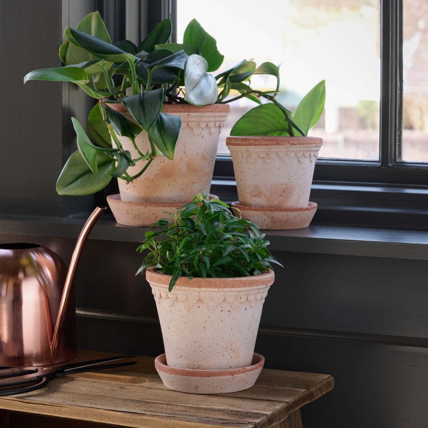 Terracotta Bergs Pot | Magnolia
