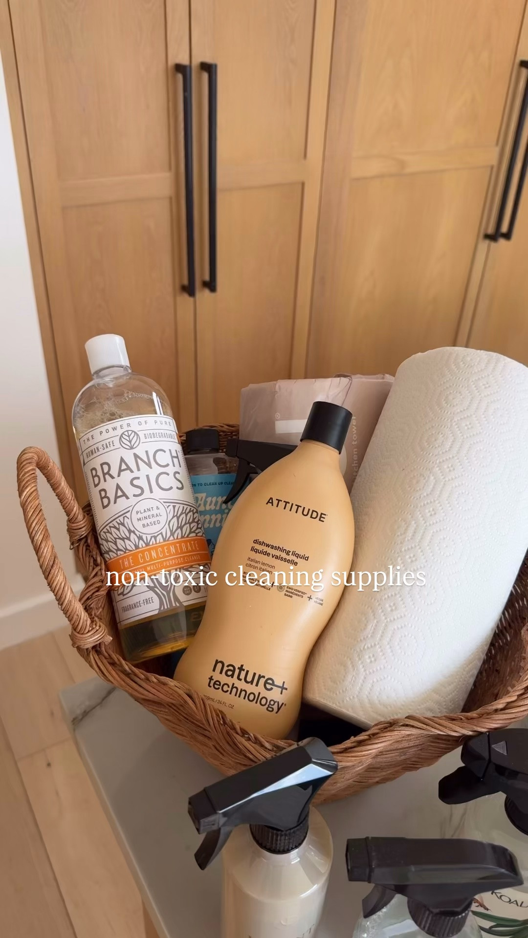 Non-toxic cleaning favorites 🫧🧼🧺

#LTKHome