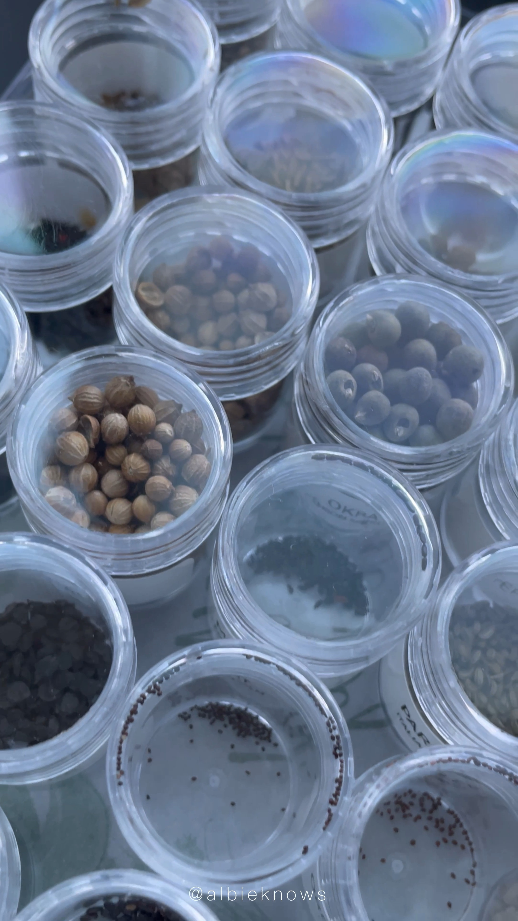 Gardening Season = Seed Storage Solutions

#LTKSeasonal #LTKhome