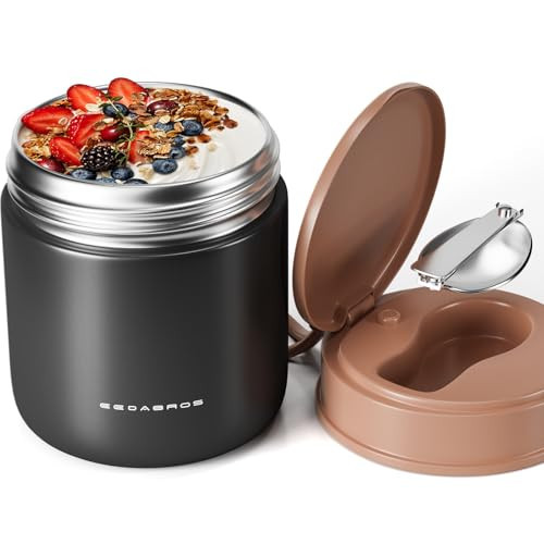 15.2oz Food Thermo for Kids – SUS316 Stainless Steel Insulated Lunch Jar with Spoon & Handle, Wide Mouth Thermo for Hot Food for Children Adults（Black） | Amazon (US)
