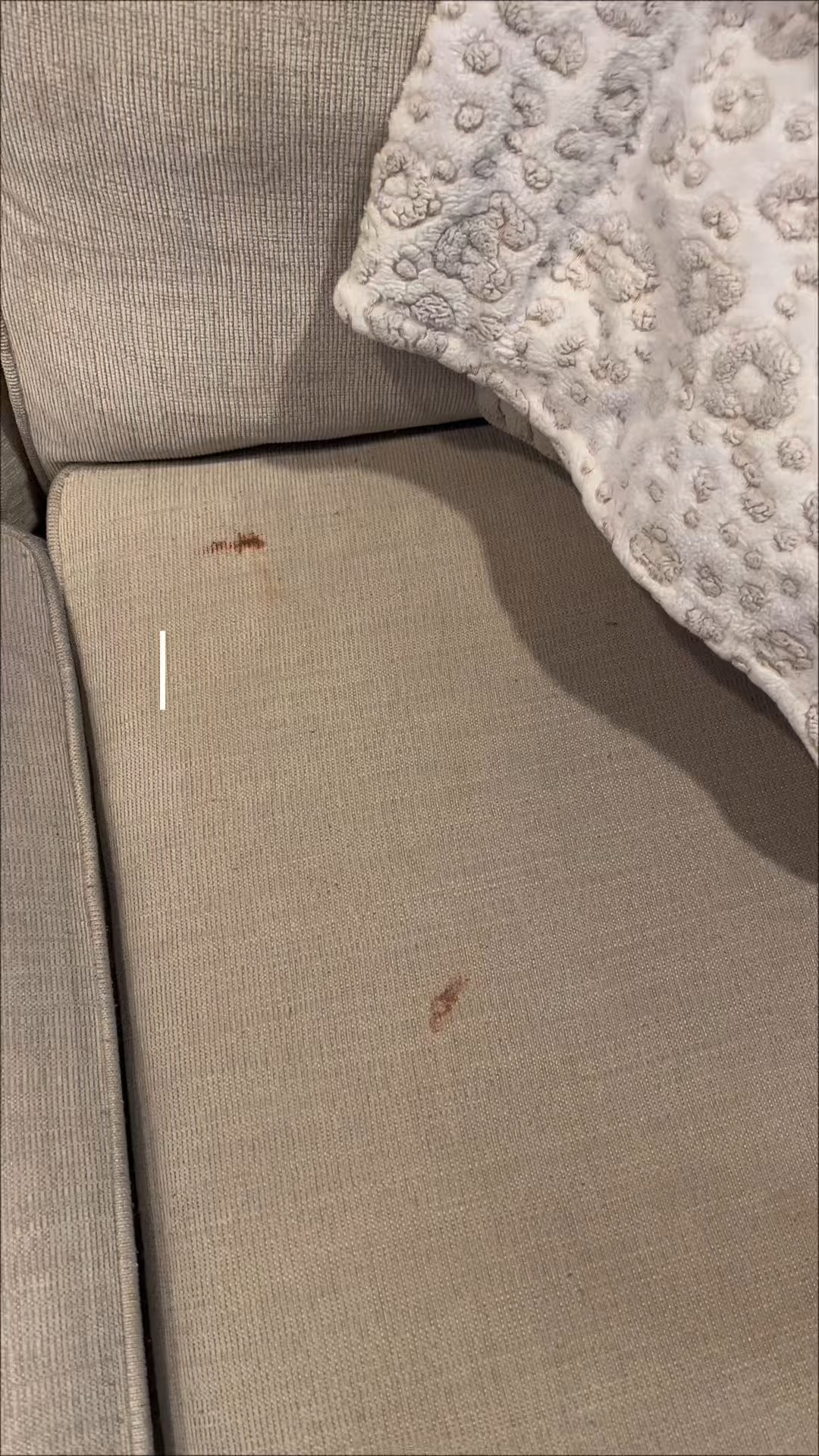 Messy doesn’t magically stop once kids grow out of the toddler phase. Teenagers are just sneakier about it.

This chocolate stain had been hiding on our couch longer than I’d like to admit, and Miss Messy Mouth stain remover lifted it with minimal effort. It worked quickly and left the fabric looking like nothing ever happened.

This is one of those products I keep on hand for real-life messes — food stains, mystery marks, and everything in between.

#LTKmomlife #LTKHome #LTKdayinmylife