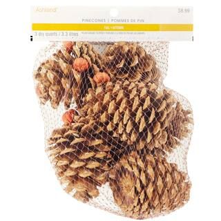 Pecan Caramel Scented Large Pinecone Bag by Ashland® | Michaels Stores