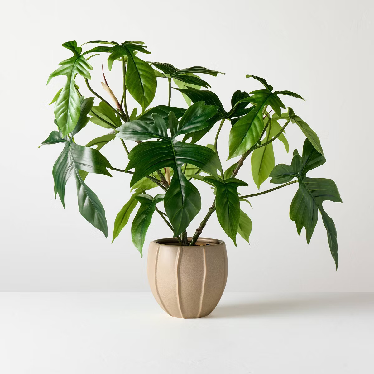 Large Philodendron Pedatum Artificial Plant - Hearth & Hand™ with Magnolia | Target