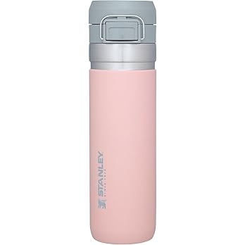 Stanley GO The Quick Flip GO Bottle 24OZ Blush | Amazon (US)