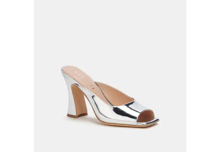 Laurence Sandal | Coach (US)