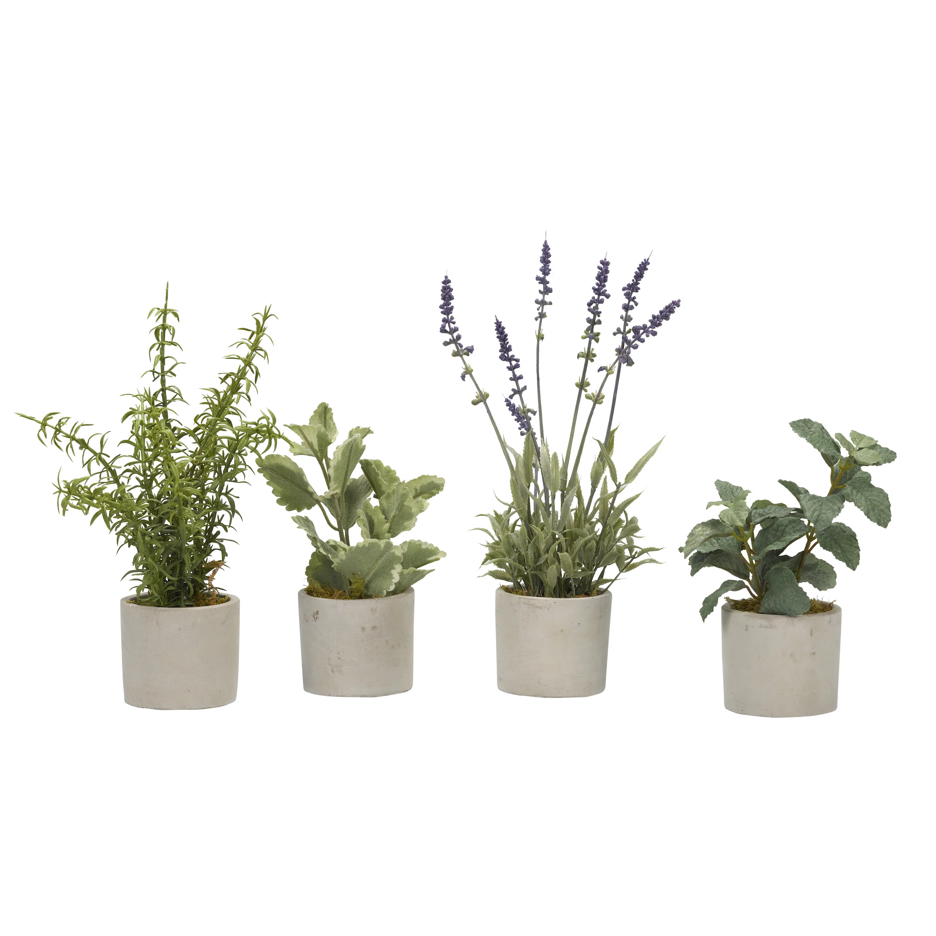 Basil 12'' Faux Plant in Stone Pot | Wayfair North America