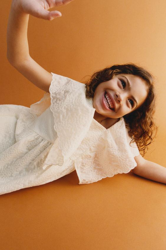 EMBROIDERED BUTTERFLY DRESS | Zara US