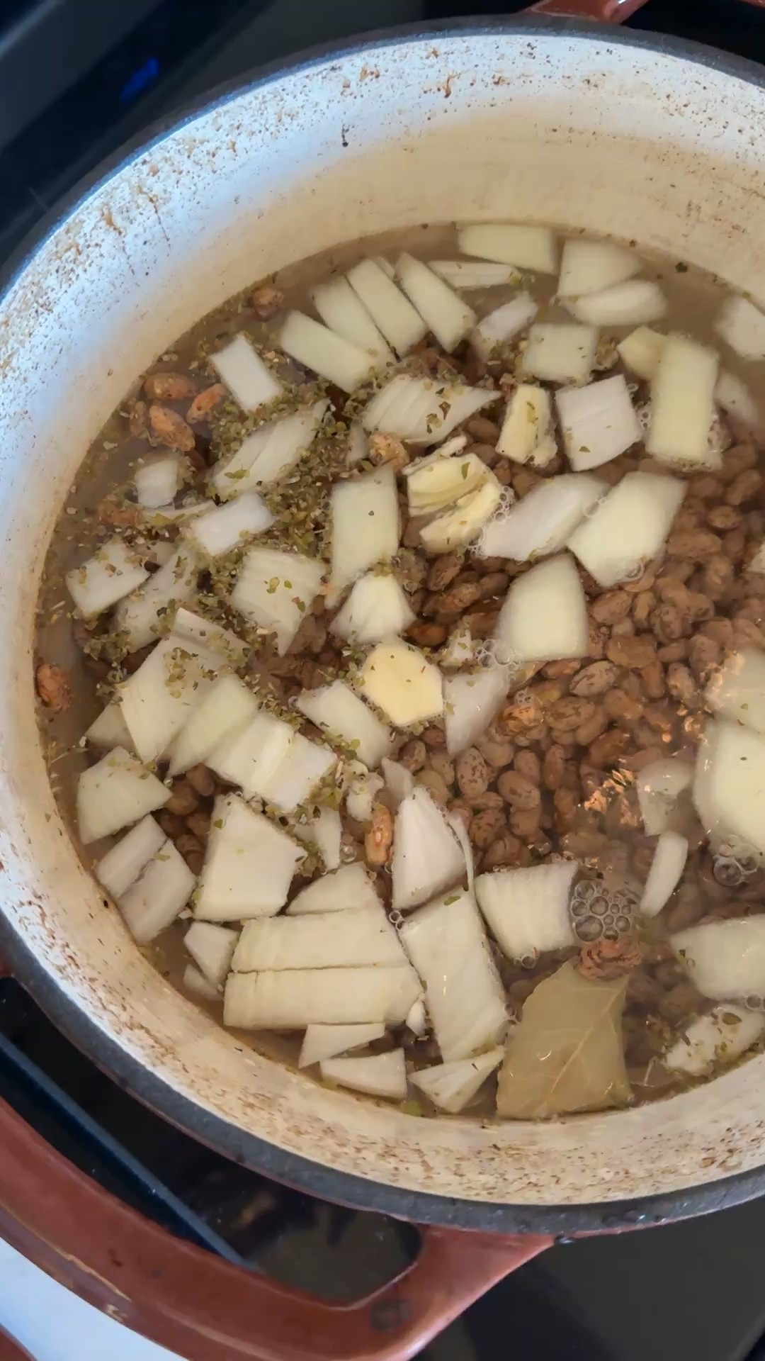 homemade refried beans


#LTKSeasonal #LTKHome #LTKHoliday