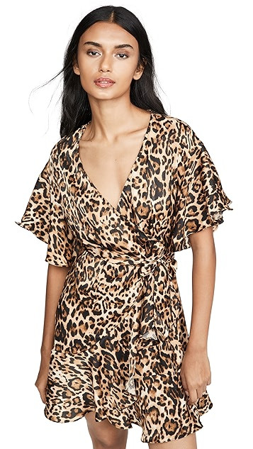 Wild Card Dress | Shopbop