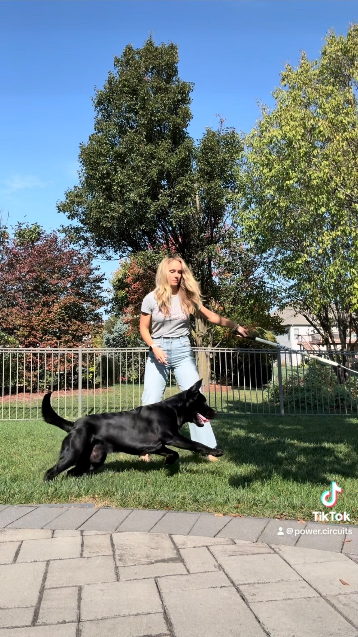 Puppy toy that wears him out! 

#LTKFamily #LTKPets