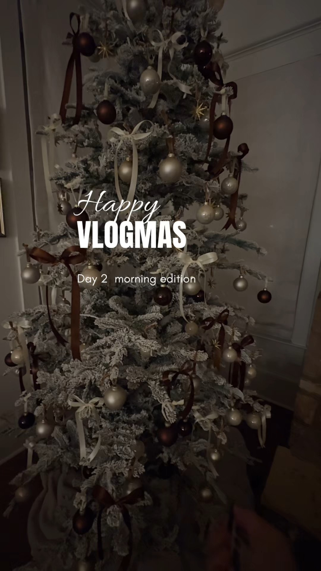 My outfit & tree 🌲