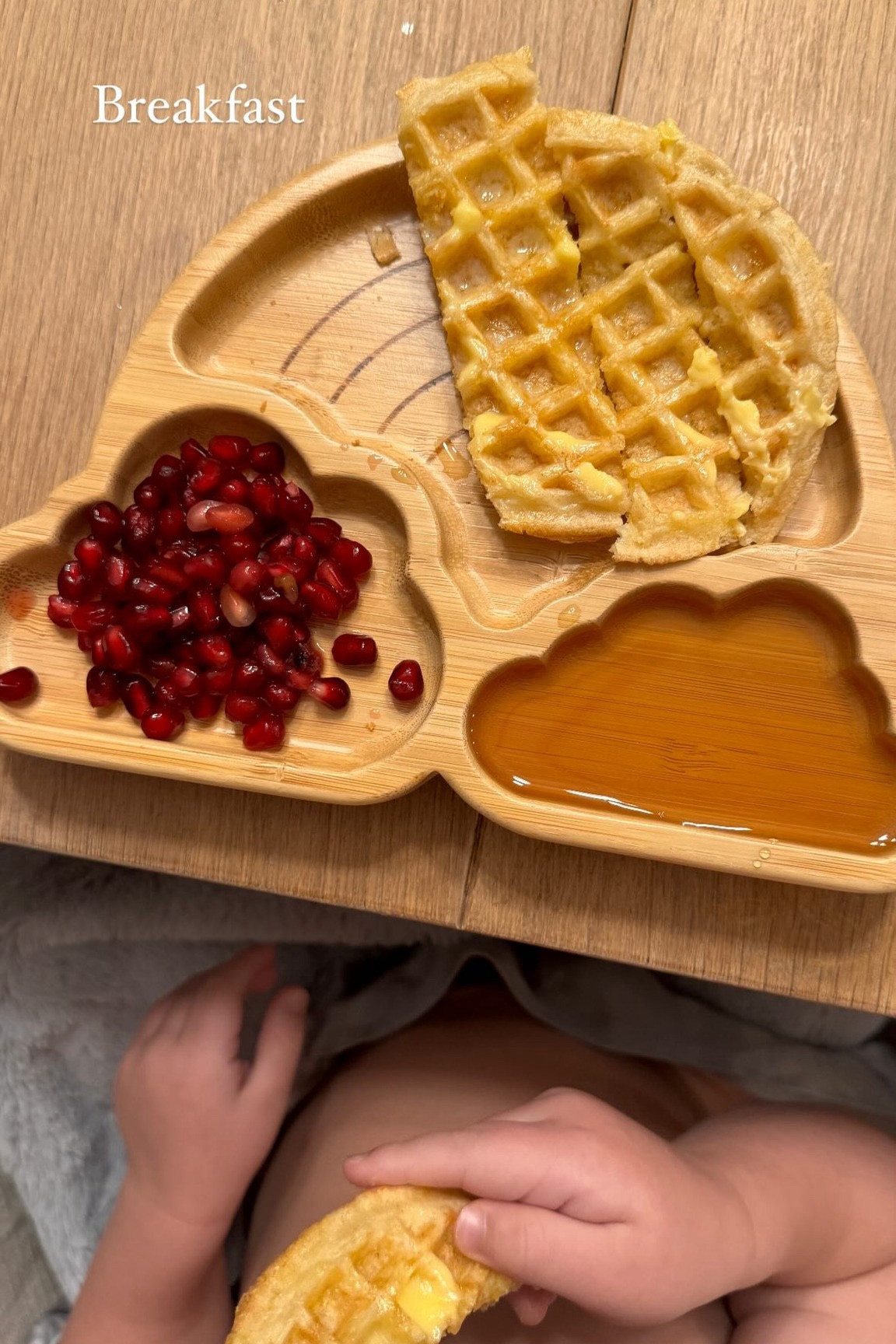 Breakfast with Leo 🤍 these plates are from Amazon for $20! 

plates l kids l amazon 