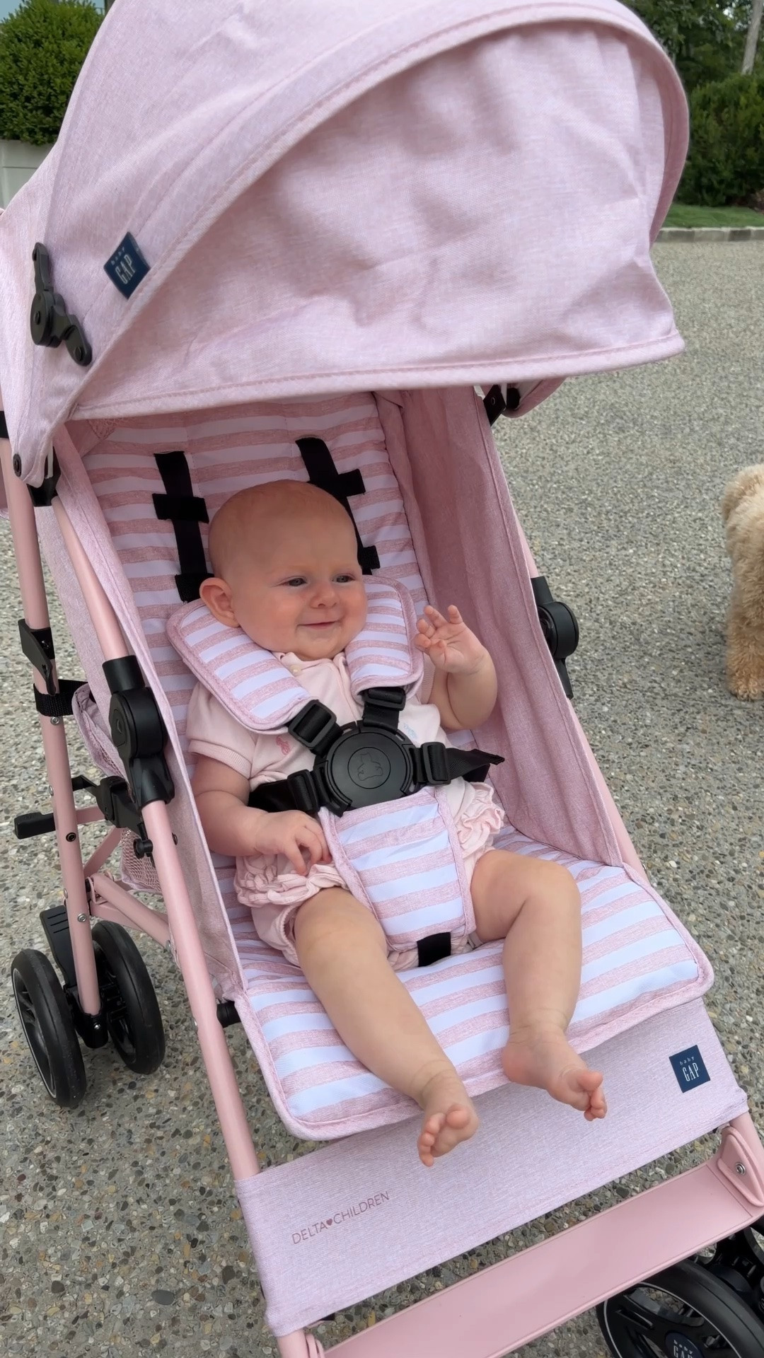 The cutest travel stroller! Easy to fold up and lightweight to travel with! 😍

#LTKBaby #LTKTravel #LTKKids