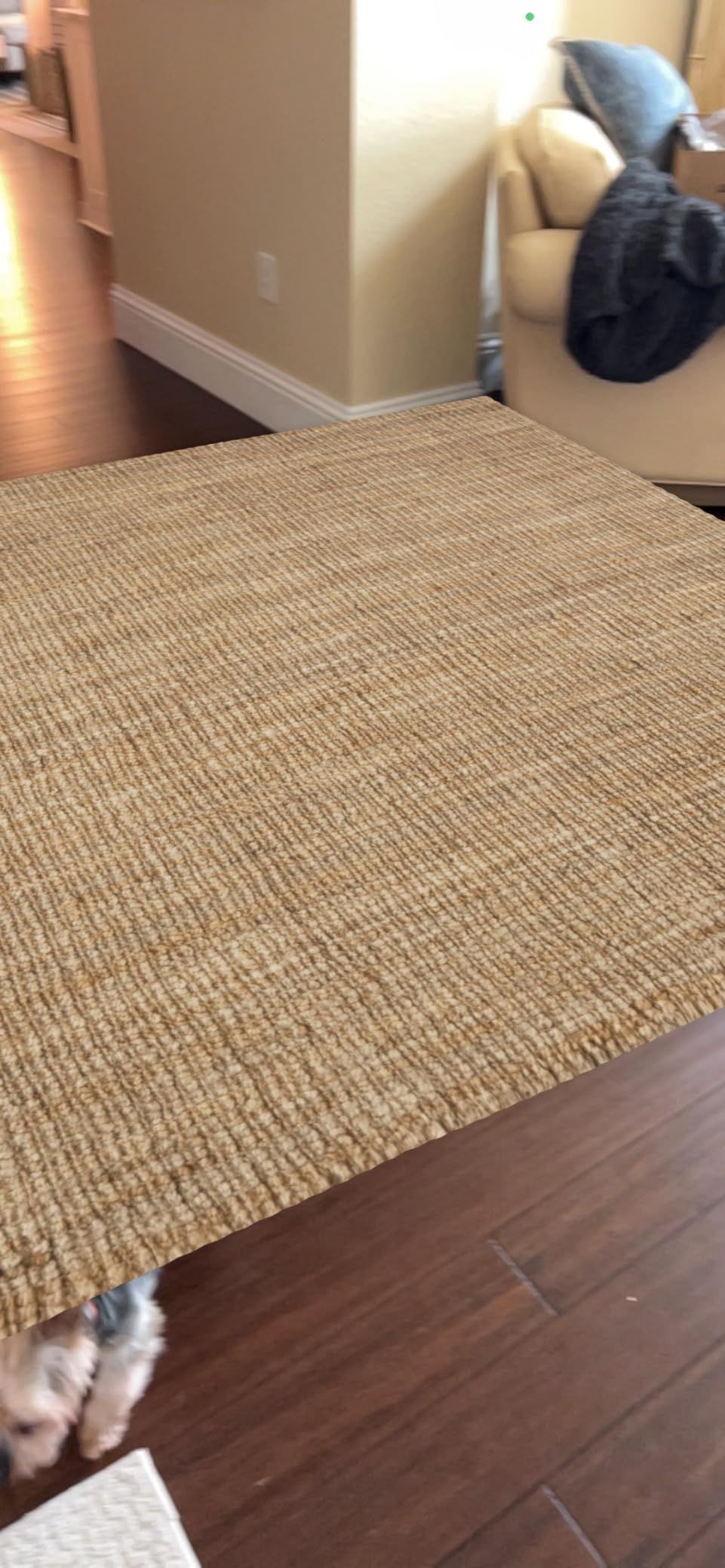 SAFAVIEH Natural Fiber Collection Area Rug - 5' x 7'6", Natural, Handmade Chunky Textured Jute 0.... | Amazon (US)