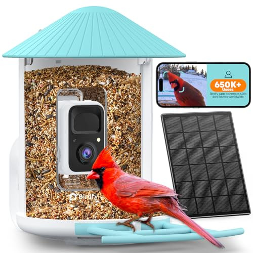 NETVUE by Birdfy Smart Bird Feeder with 2K HD AI Camera Solar Powered, Wireless Wildbird Watching, Live Stream&Color Night Vision, Auto-Capture & Notify, Free Cloud Storage(AI by Subscription) | Amazon (US)