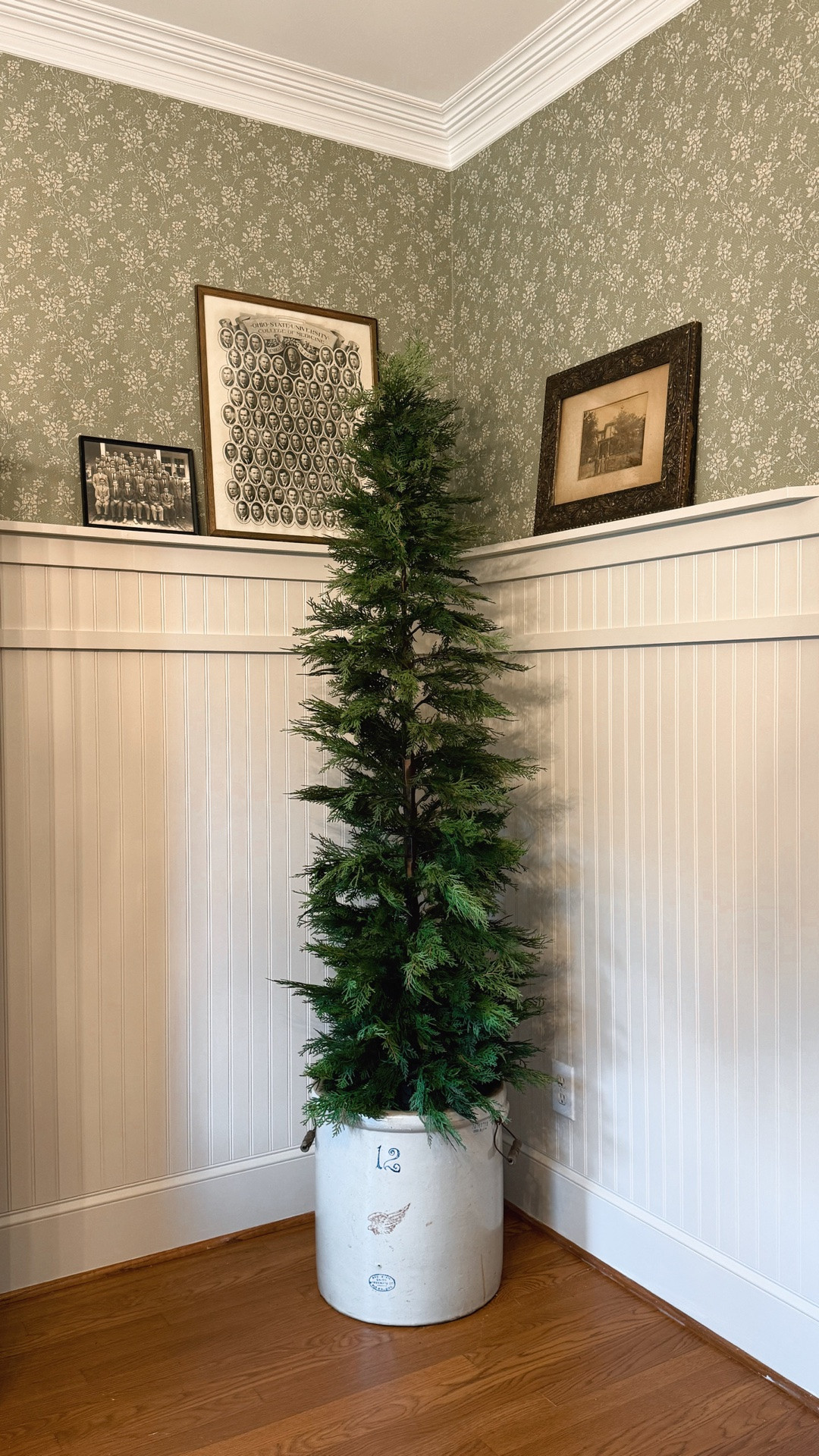 I LOVE these smaller pencil trees!  I love tucking them into corners and small spaces.  They add so much charm and a pop of color to any room.  Plus, they real touch trees are currently on sale!  They come in 3 sizes so be sure to pick the right one.

#LTKSeasonal #LTKHome #LTKSaleAlert
