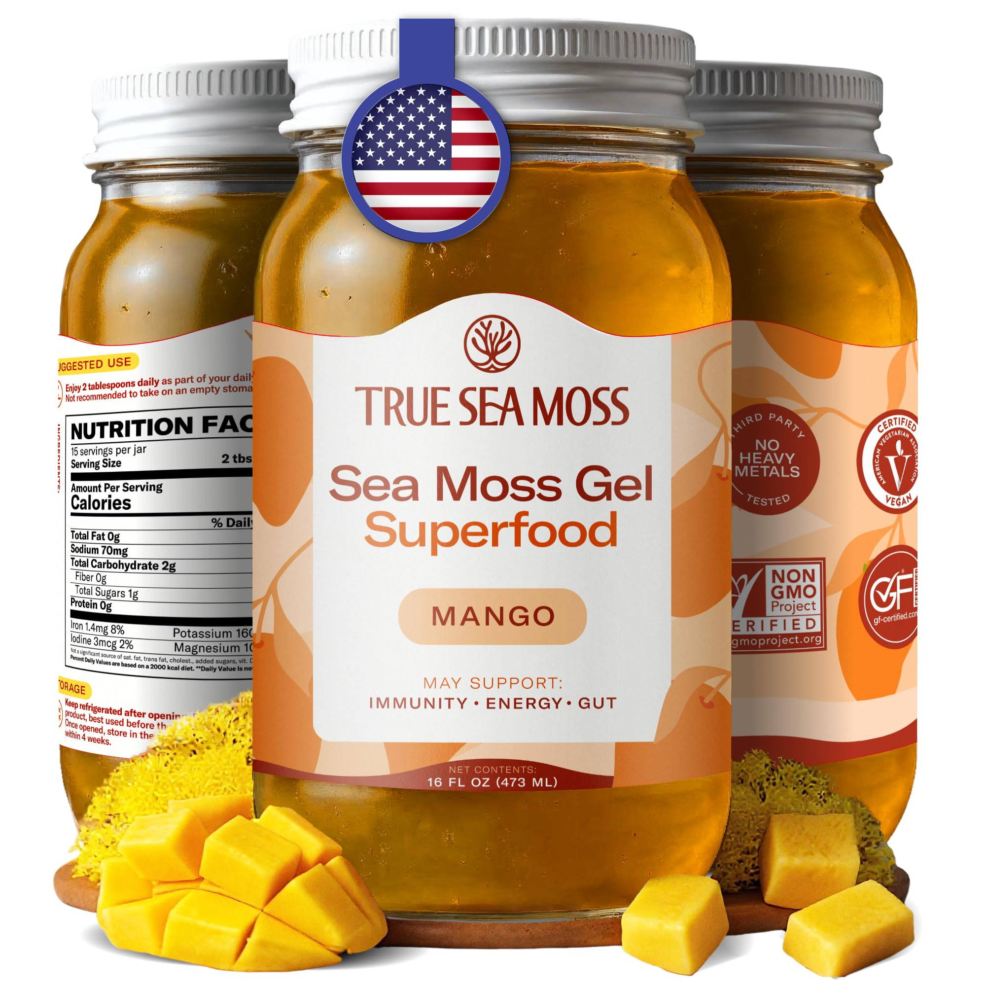 TrueSeaMoss Sea Moss Gel – Made in USA – Wildcrafted Seamoss, Fresh Fruits & Sea Vegetables ... | Amazon (US)