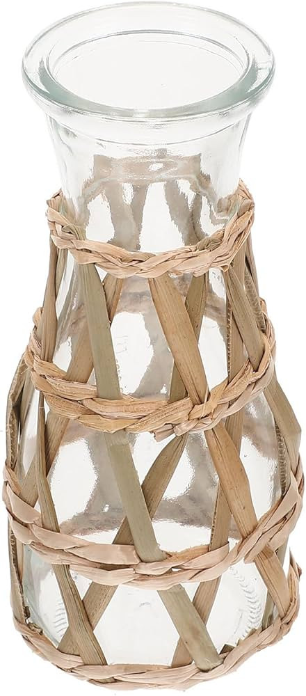 Beavorty Rattan Glass Vase Rustic Woven Vase Clear Glass Flower Vase with Woven Cover Farmhouse B... | Amazon (US)
