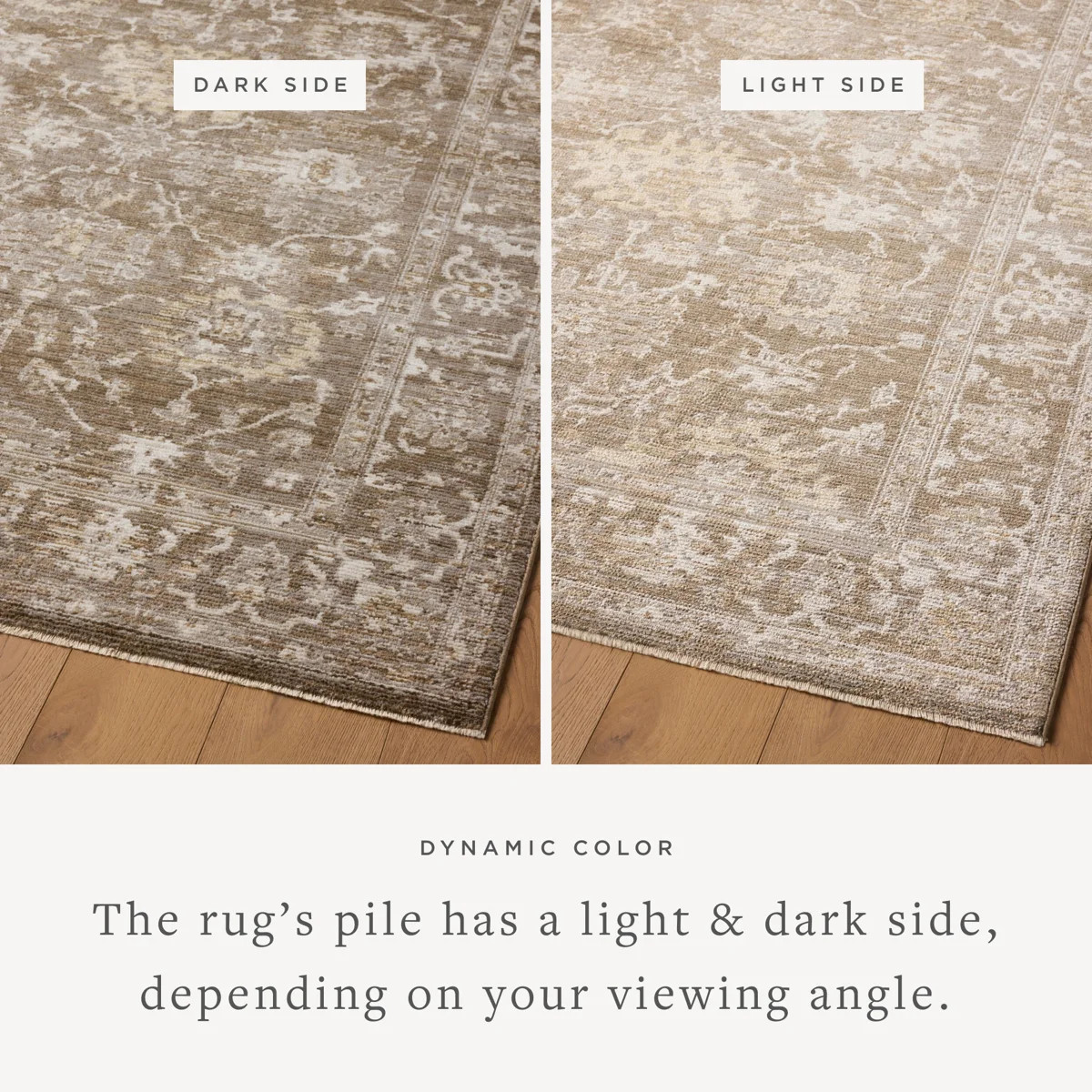 Magnolia Home by Joanna Gaines x Loloi Pace Bark / Natural Area Rug | Wayfair North America