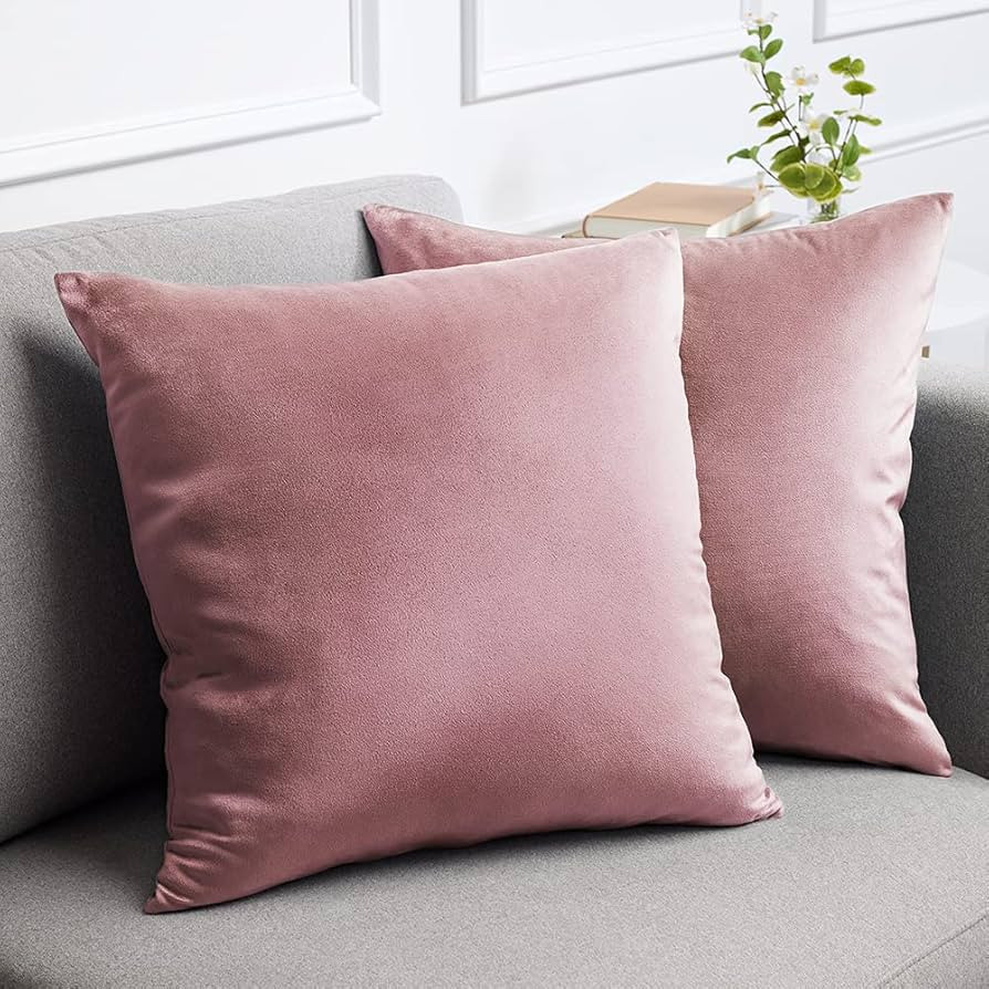 lalaLOOM Velvet Throw Pillow Cases, Set of 2, Softest Accent Case for Pillows, Decorative Square ... | Amazon (US)