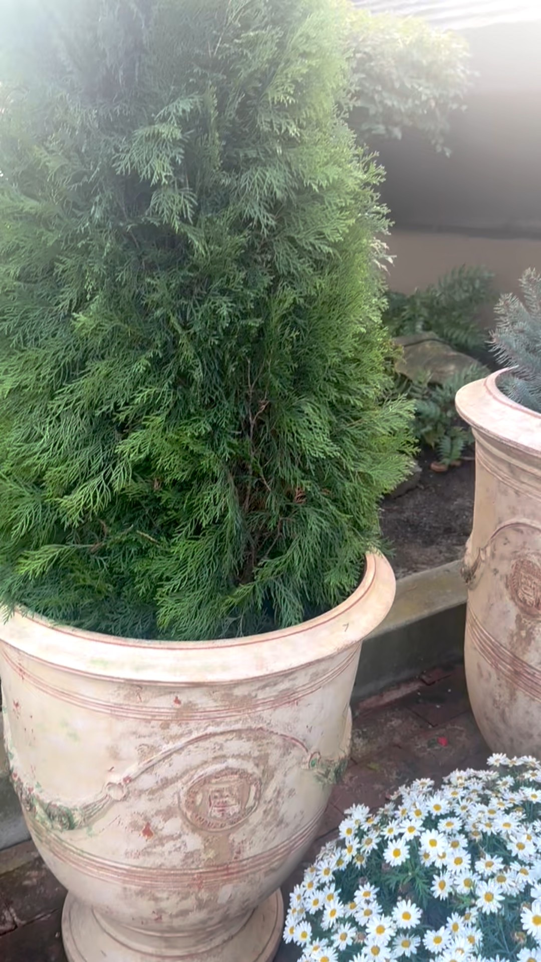 A simple way to bring festive charm—holiday planters that elevate the space.
#HolidayHome #FestiveDetails #OutdoorDecor #SeasonalLiving #CozyVibes

#LTKHome #LTKHoliday #LTKGiftGuide