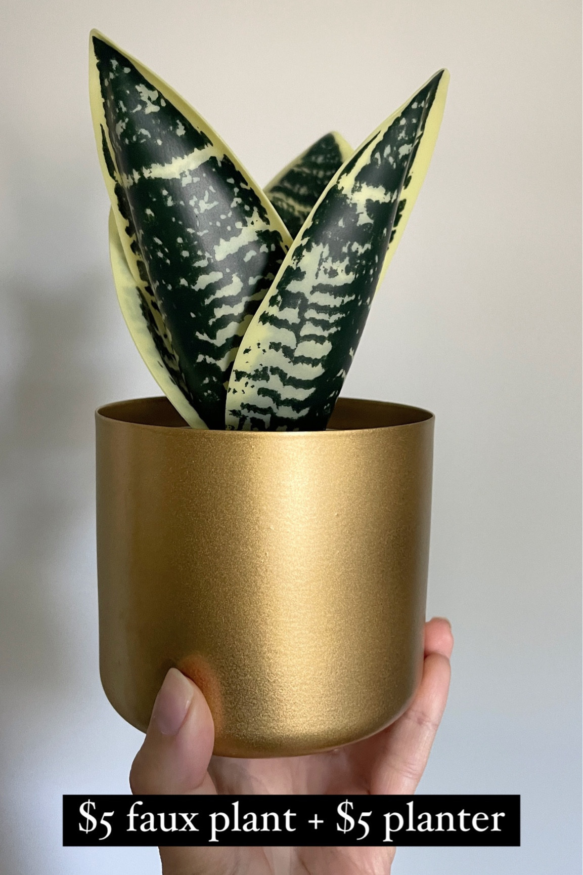 Affordable faux plant combo! Target finds. 

#LTKHome #LTKFindsUnder50 #LTKGiftGuide