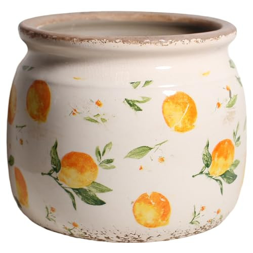 Lemon Summer Decor Plant Pot, 6 Inch Vintage Ceramic Planter with Drainage for Indoor Plants, Rustic Lemons Vase for Centerpieces, Mediterranean Kitchen Home Decor, Yellow Gifts for Gardening | Amazon (US)