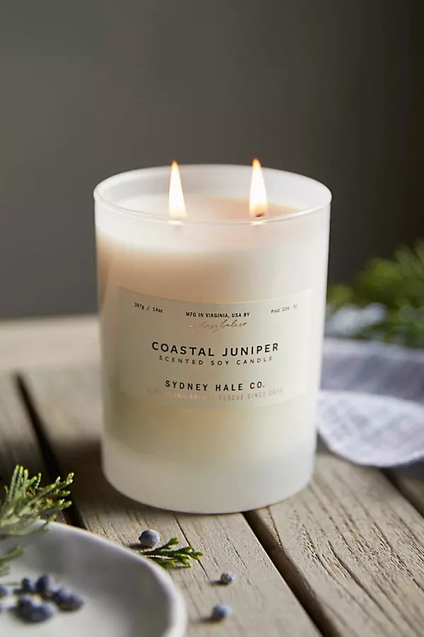 Sydney Hale Candle, Coastal Juniper | Anthropologie (US)