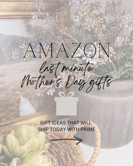 Amazon Last Minute Gift Ideas for Mom! All of these gift ideas are affordable and ship super quick. I own all these home finds and think they would make great Mother’s Day gifts for all the moms in your life  

#LTKGiftGuide #LTKhome #LTKfindsunder50