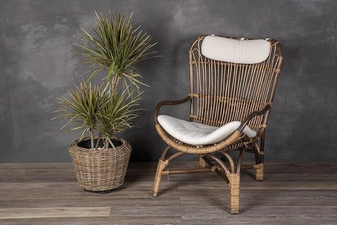 Rattan Kobo Indoor Outdoor Planter Basket with Plastic Pot Large 65 Gallon Soil Capacity | Amazon (US)