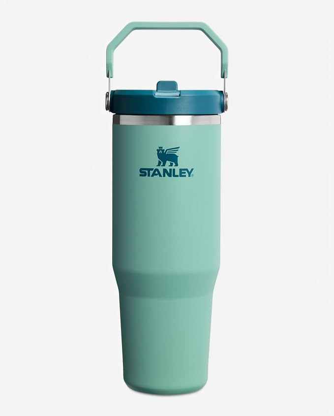 STANLEY IceFlow 2.0 Flip Straw Tumbler, 30 oz, Spring Green | Amazon (US)
