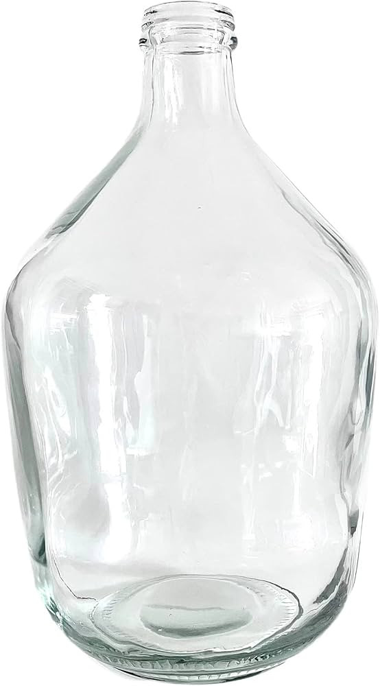 Glass Vase Clear Large Floor Jug Cylinder Flowers Bubble Big Vase Round for Centerpieces Decor Fa... | Amazon (US)