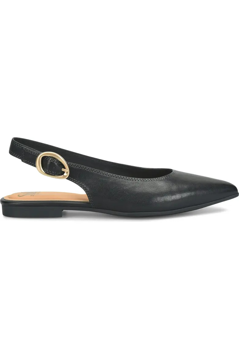 Marcella Slingback Pointed Toe Flat (Women) | Nordstrom | Nordstrom