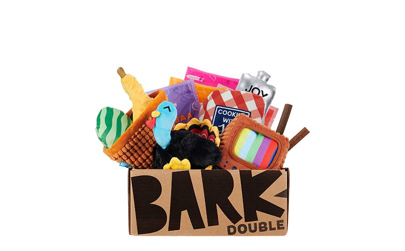 BarkBox Pet Box (One Time Only Or Subscription) | BarkBox